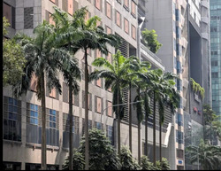 Cecil Suites (D1), Office #551208991